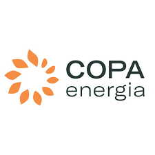 Ludmila F. Gonzaga Gondim 